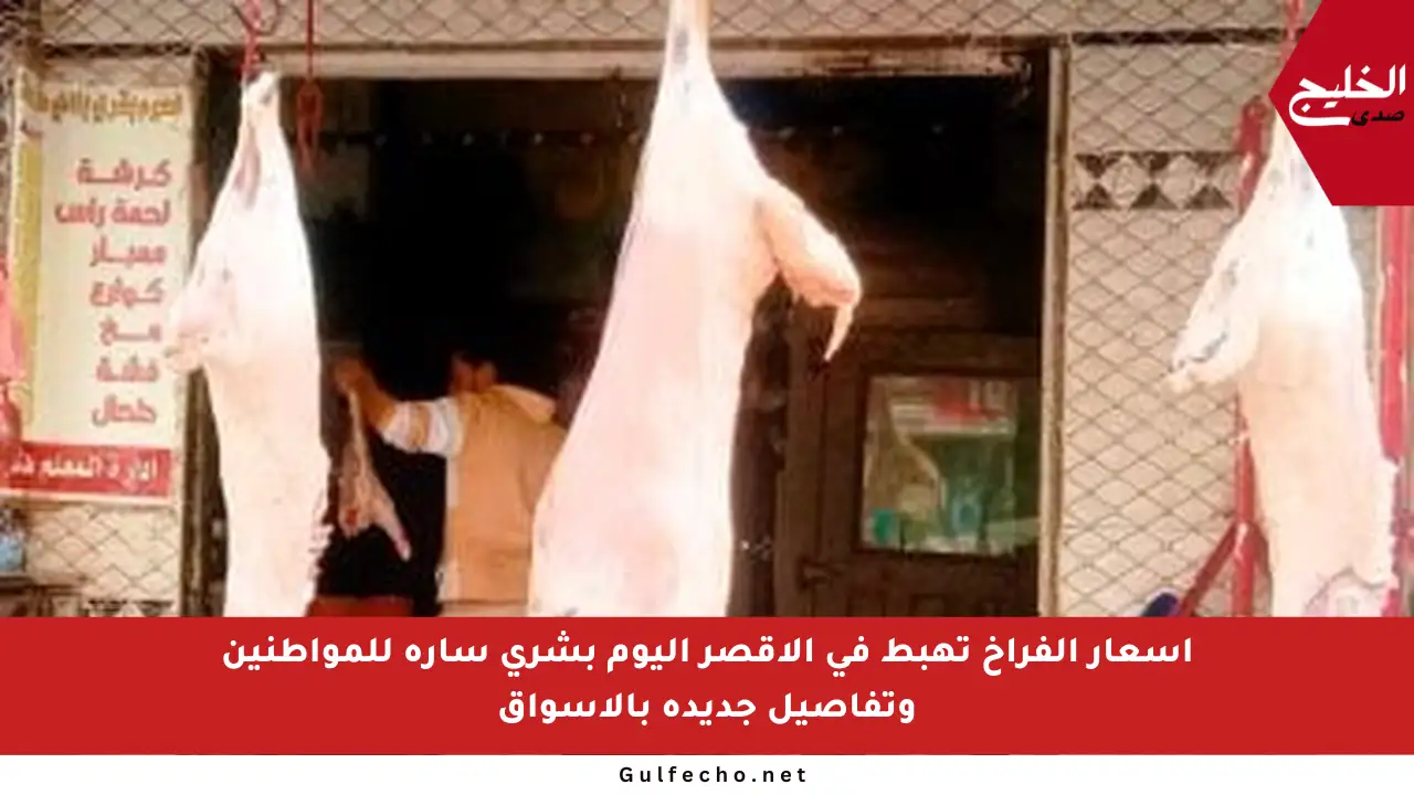 أسعار الفراخ تهبط في الأقصر اليوم بشرى سارة للمواطنين وتفاصيل جديدة بالأسواق
